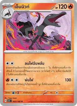 เอ็นนิวท์