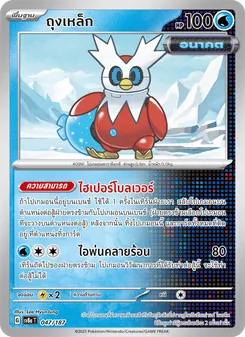 ถุงเหล็ก