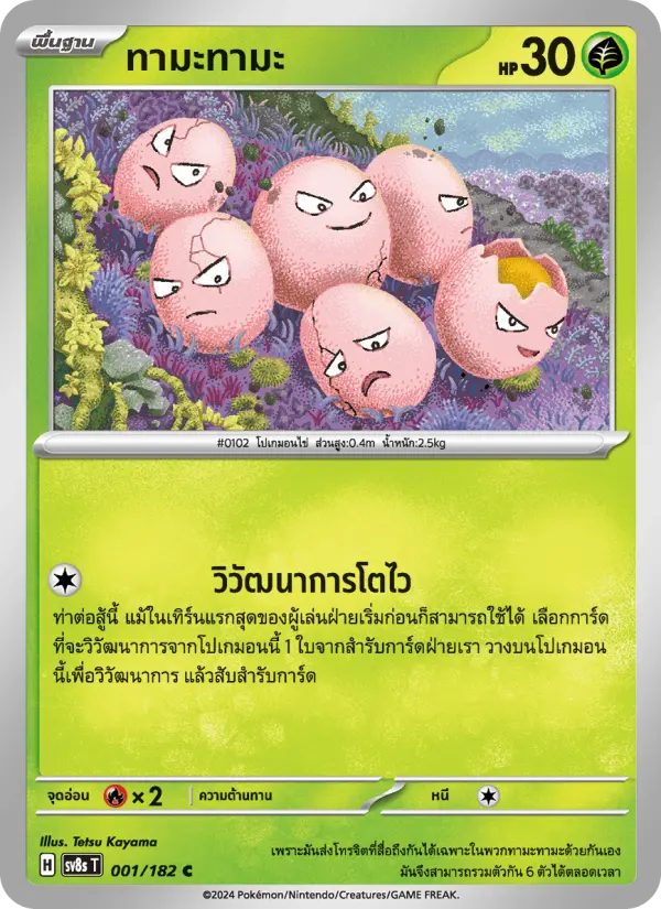 ทามะทามะ card image