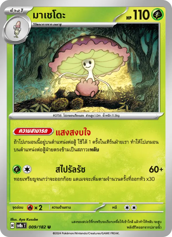 มาเชโดะ card image