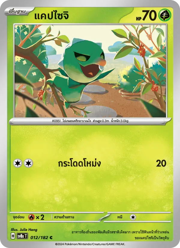 แคปไซจิ card image