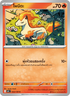 โพนีตะ