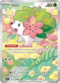 เชมิน