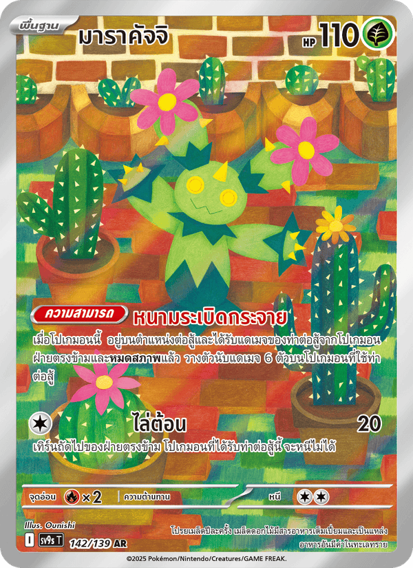 มาราคัจจิ