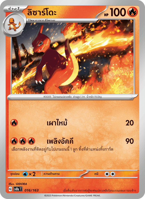 ลิซาร์โดะ
