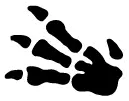 Logo de la série de cartes Pokémon Fossile