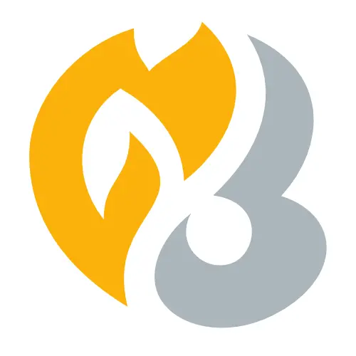 Logo de la série de cartes Pokémon HeartGold SoulSilver