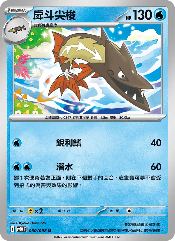 戽斗尖梭
