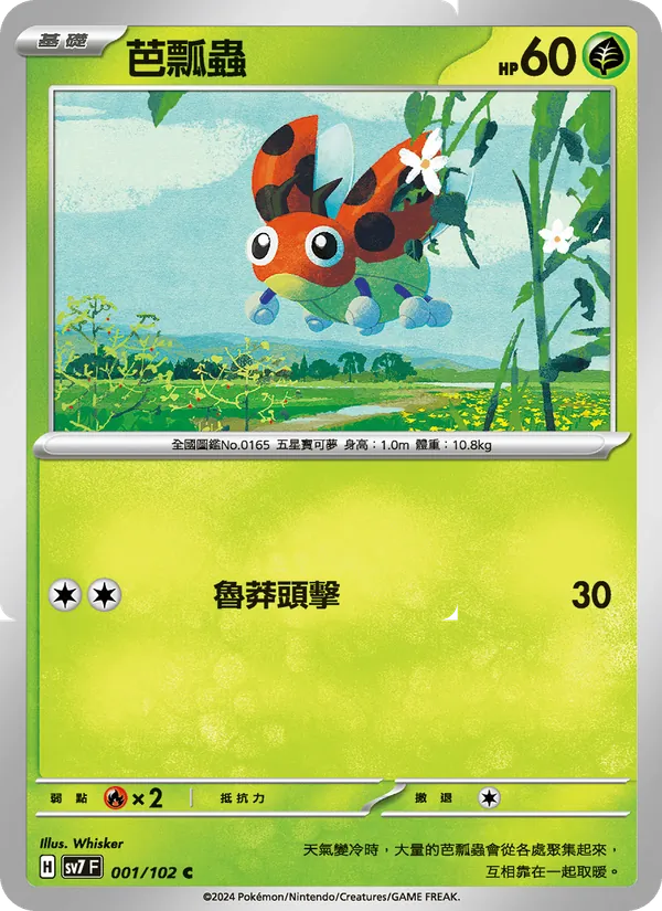 芭瓢蟲