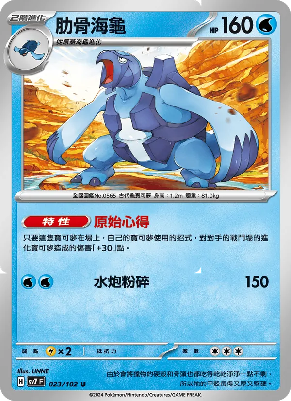 肋骨海龜