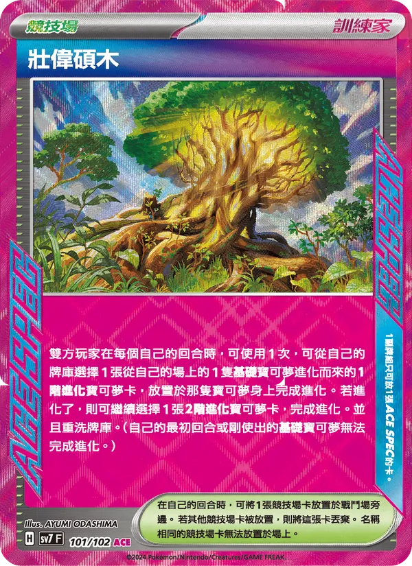 壯偉碩木