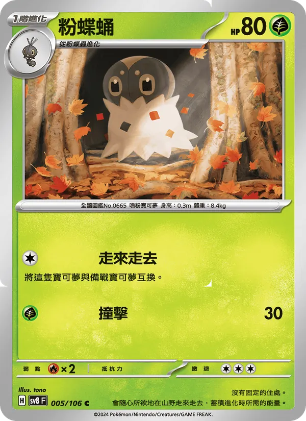 粉蝶蛹