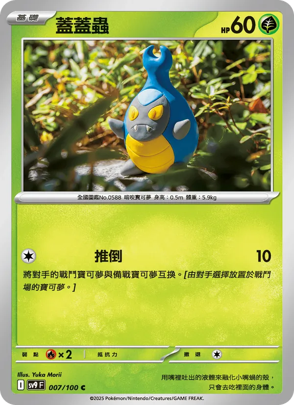 蓋蓋蟲