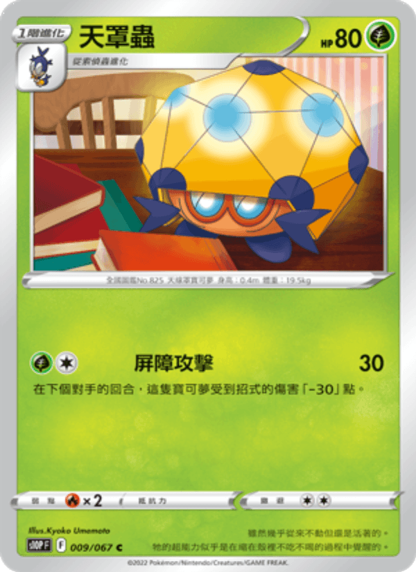 天罩蟲
