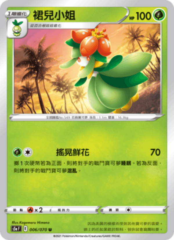 裙兒小姐