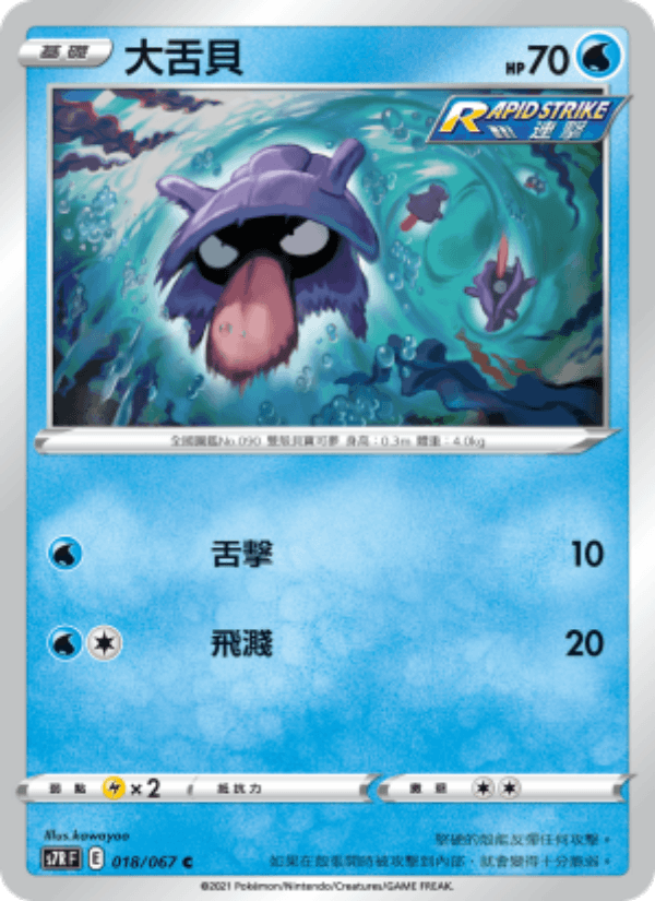 大舌貝