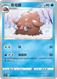長毛豬