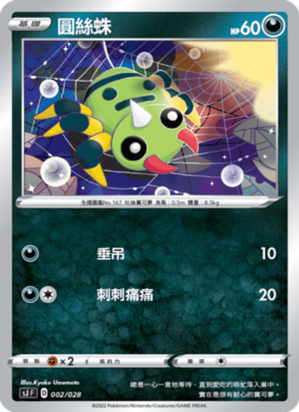 圓絲蛛
