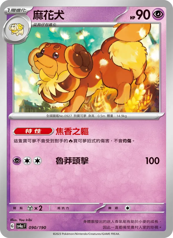 Dachsbun 090/190 Raging Surf