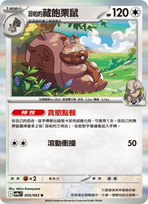 <派帕的>藏飽栗鼠