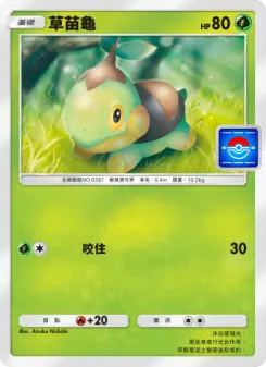 Turtwig